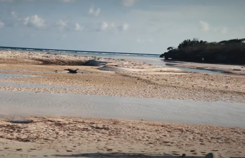 10 Pesona Pulau Sakala di Sumenep, Disebut Pulau Sejuta Misteri