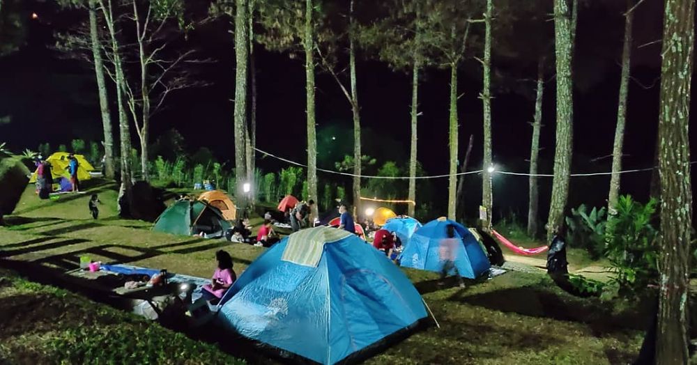 5 Alasan Wajib Kunjungi Alas Pelangi Trawas, Camping Tanpa Ribet!