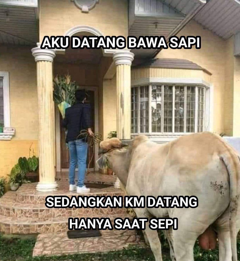 10 Meme Pantun Galau Ala Warganet Twitter Dijamin Nyesek