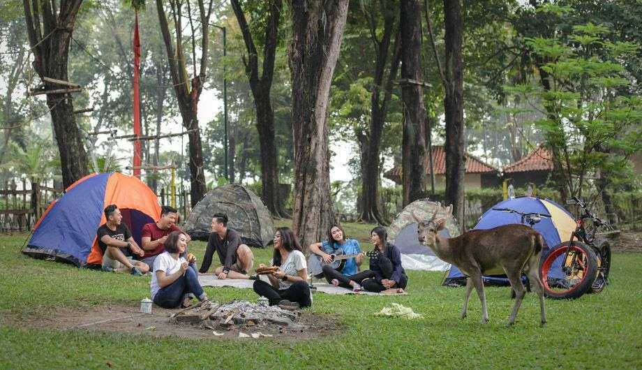 6 Rekomendasi Camping Ground di Surabaya dan Sekitarnya