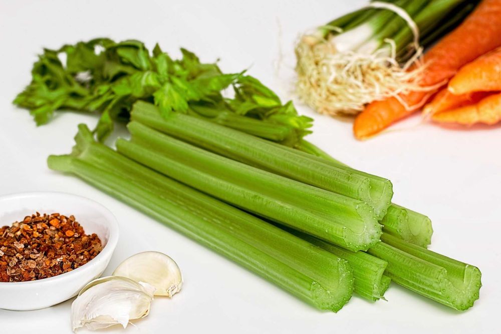 Seledri: Lebih dari Sekedar Pelengkap Masakan