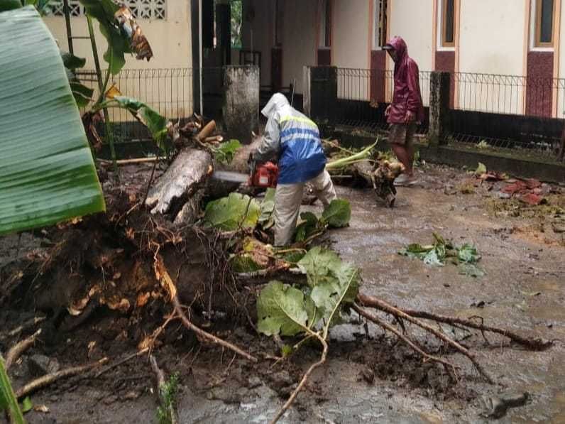 Hujan Lebat, Pohon Jati di Canden Bantul Timpa Masjid 