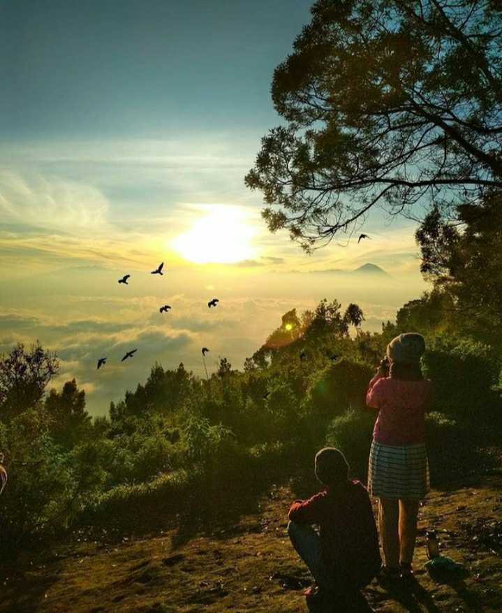 6 Gunung di Jawa Timur Ini Cocok untuk Pendaki Pemula