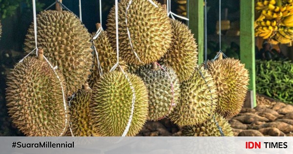 Bagaimana Cara Menanam Durian? Ikuti 5 Tahapan Ini!