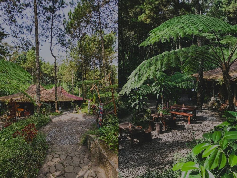 9 Kafe dengan Nuansa Alam di Pasuruan, Cocok Buat Healing