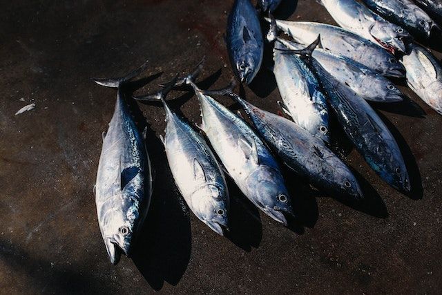 Resep Ikan Tuna Balado, Pedasnya Bikin Nagih!