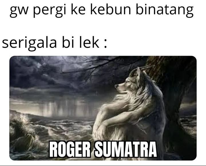 Meme Kocak Roger Sumatera Yang Sukses Bikin Kamu Nyanyi