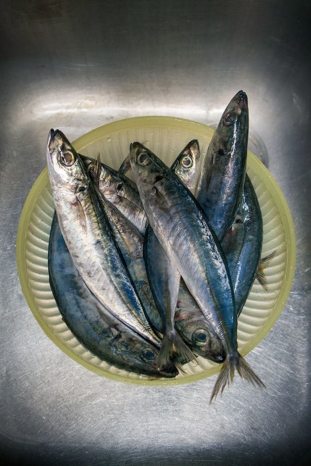 Resep Kotokan Ikan Tongkol, Gurih dan Menggoyang Lidah