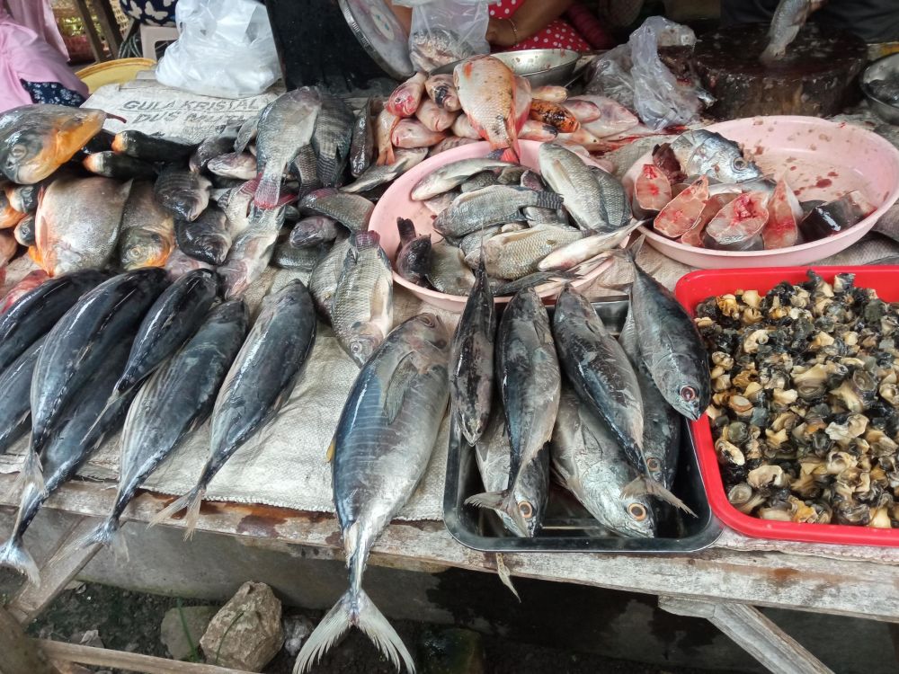 Harga Ikan Naik, Omzet Pedagang di Pantai Labuhan Haji Turun