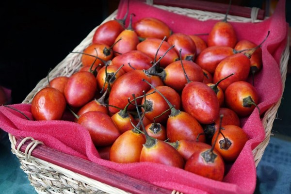 9 Fakta Terung Belanda, Buah Rendah Kalori yang Baik untuk Jantung