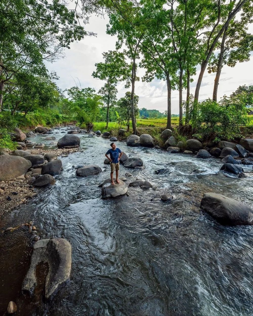 7 Wisata Alam Terbaik di Madiun, Kaya Nuansa Kesejukan!