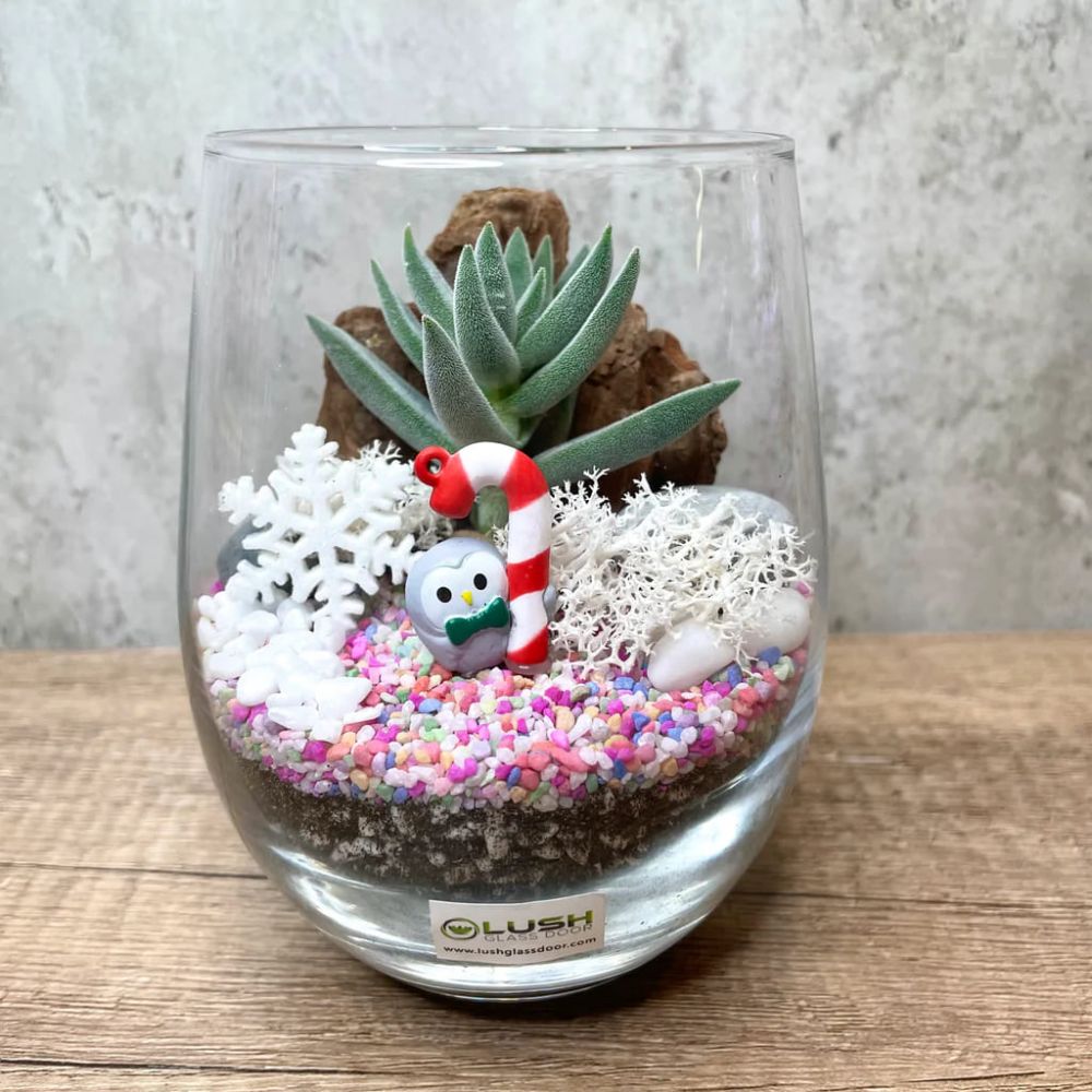 9 Ide Terrarium Natal, Dekorasi Cantik Pelengkap Suasana