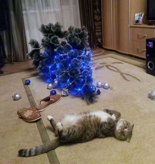 16 Potret Kucing Barbar di Pohon Natal, Bikin Kacau!