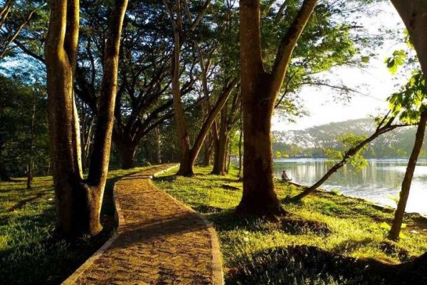 Telaga Jonge di Gunungkidul: Lokasi, Harga Tiket, dan Daya Tarik