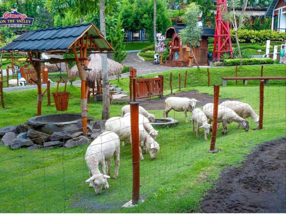 5 Tempat Wisata Edukasi Semarang yang Cocok Dikunjungi Saat