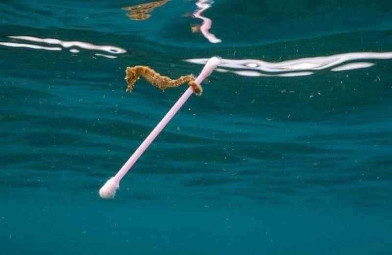 Miris! Potret Sampah di Laut, Ada yang Sengaja Membuang Ban Bekas