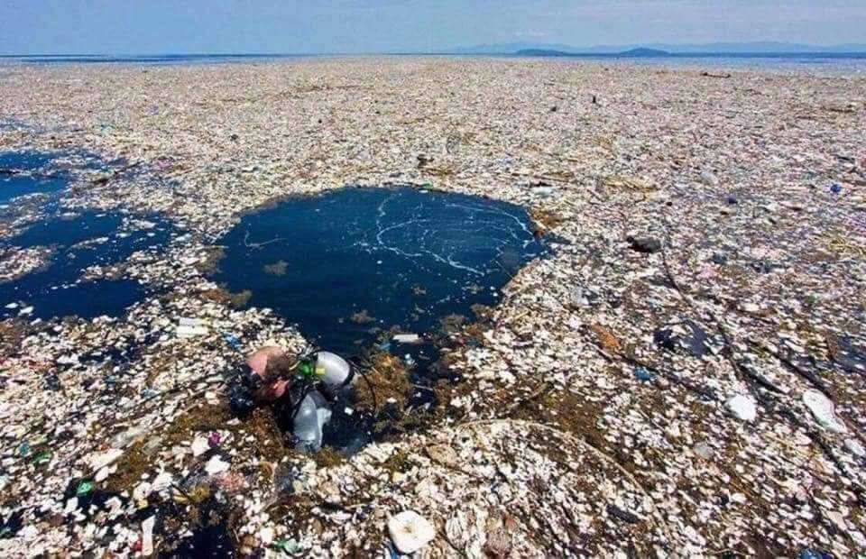 Miris! Potret Sampah di Laut, Ada yang Sengaja Membuang Ban Bekas