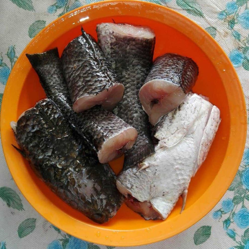 Resep Pempek Ikan Gabus