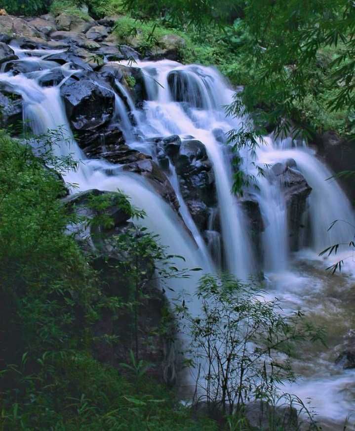 10 Air Terjun Terindah di Pasuruan, Yuk Eksplor!