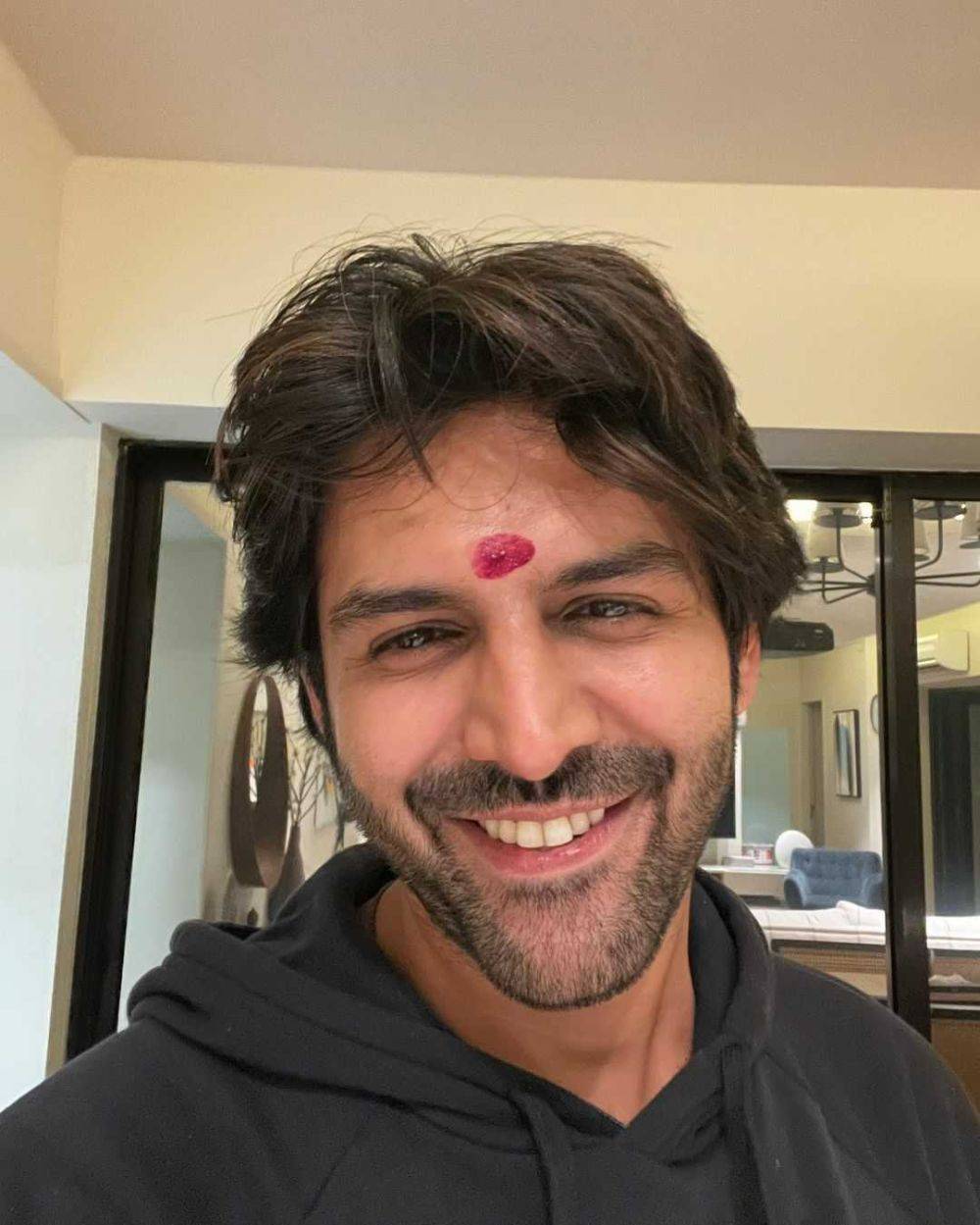 9 Fakta Kartik Aaryan Jadi Brand Ambassador McDonald's