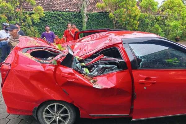 Pohon Tumbang Timpa Mobil Wisatawan Di Jalan Parangtritis