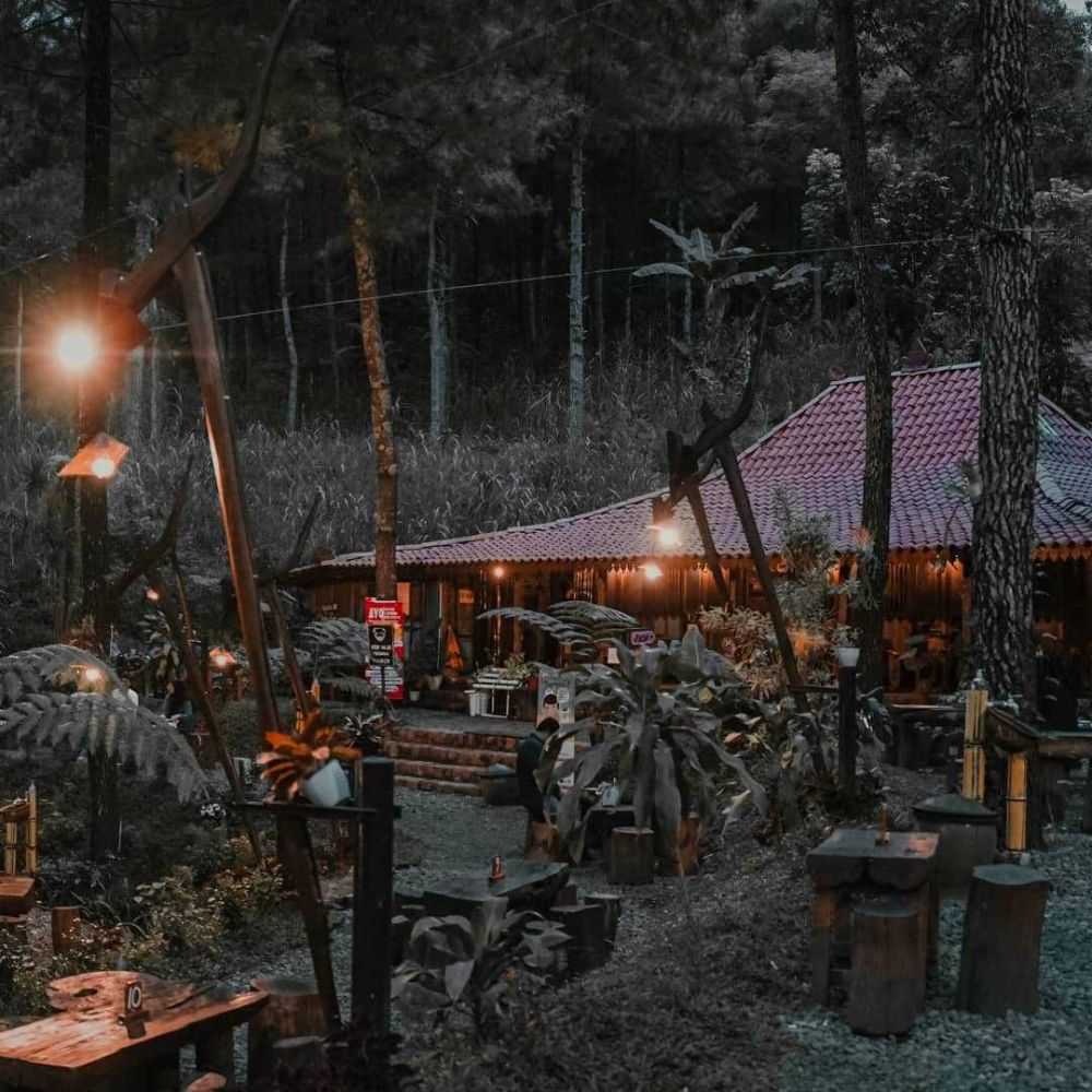 8 Kafe Hits Jawa Timur yang Berada di Tengah Hutan, Asri dan Sejuk