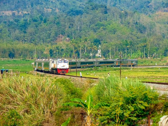 7 Jalur Kereta Api dengan View Paling Epik di Indonesia