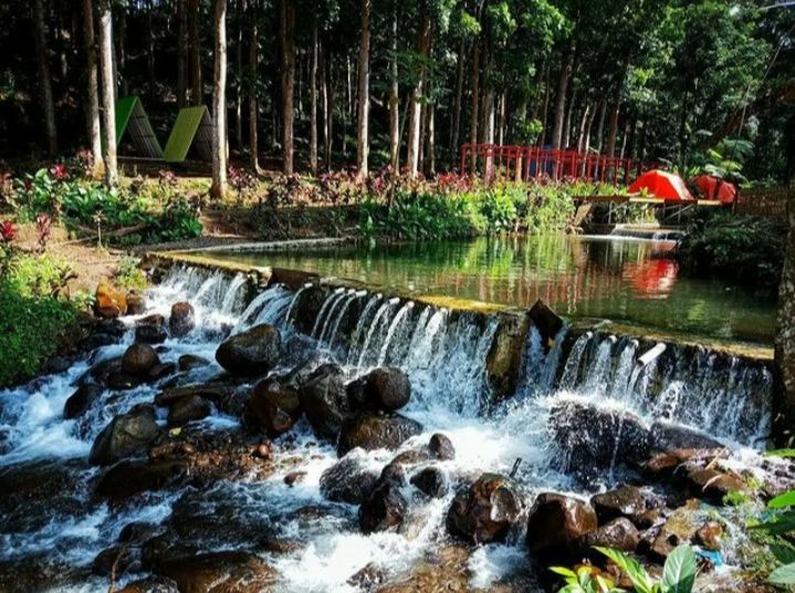 Informasi Wisata Kampung Durian Panti: Lokasi, Harga Tiket dan Tips