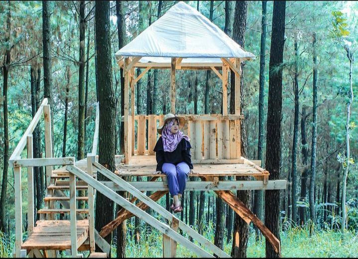 7 Wisata Hutan Pinus Paling Hits di Jawa Timur, Back To Nature! 