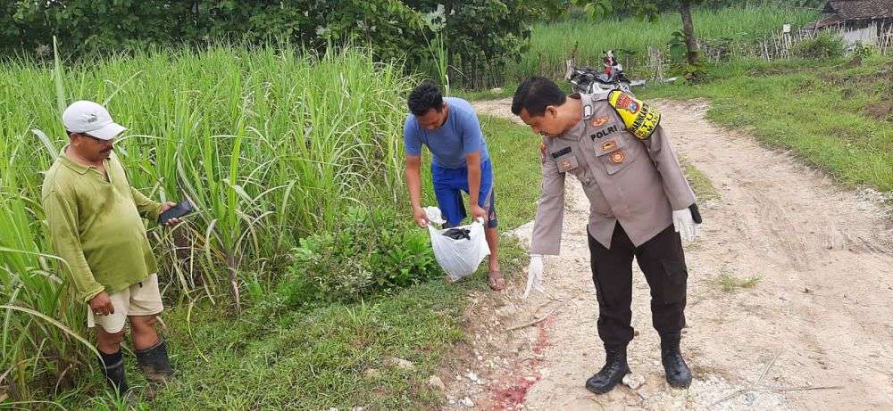 Bayi Baru Lahir Dibuang di Kolong Kursi Warung