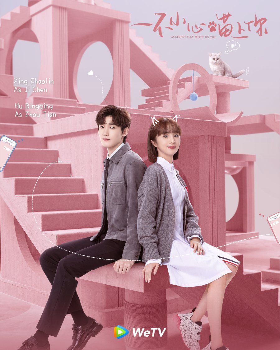 9 Fakta Accidentally Meow on You, Drama Komedi Romantis