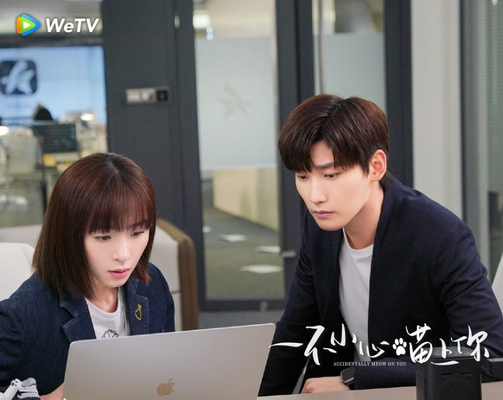 9 Hal Seru Drama China Romantis Accidentally Meow On You, Bikin Baper!