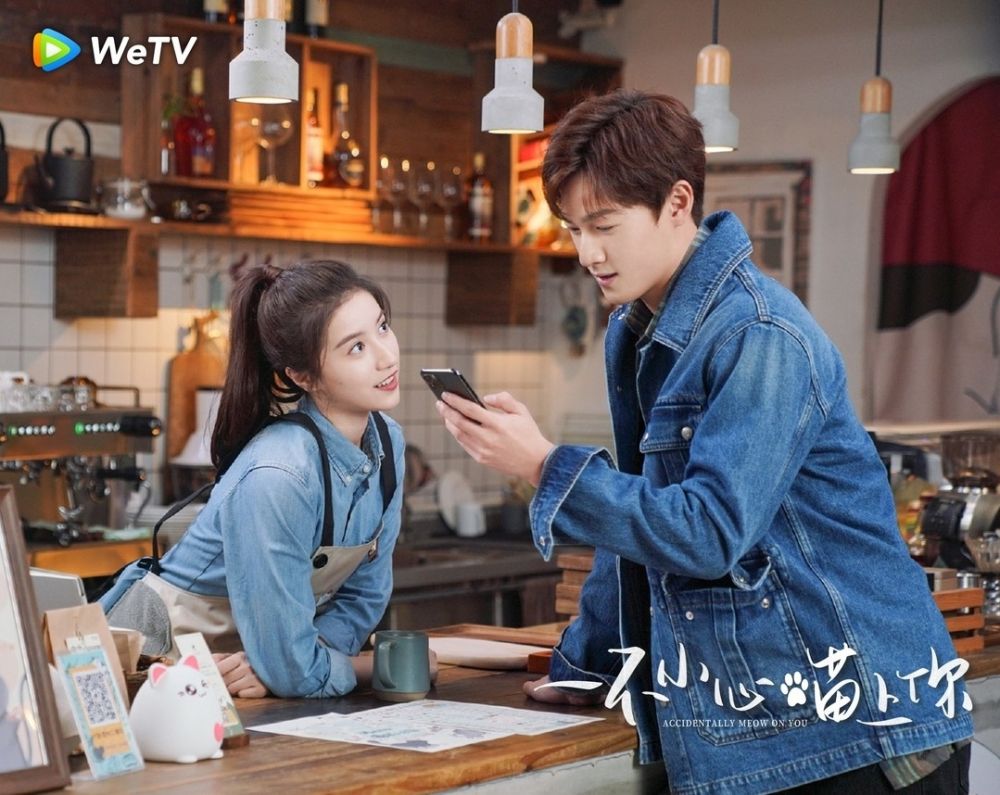 9 Hal Seru Drama China Romantis Accidentally Meow On You, Bikin Baper!