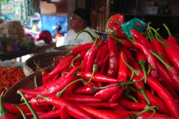 Mendekati Nataru, Harga Sayur dan Ayam di Tulungagung Naik