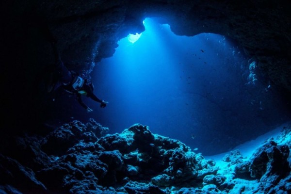 7 Wisata Bawah Laut yang Dihindari jika Tak Ingin Bernasib Buruk!
