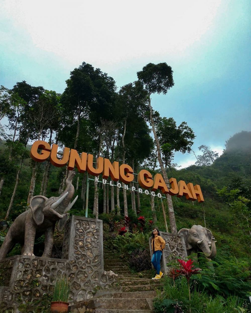 11 Tempat Wisata di Kulon Progo untuk Berburu View dari Ketinggian