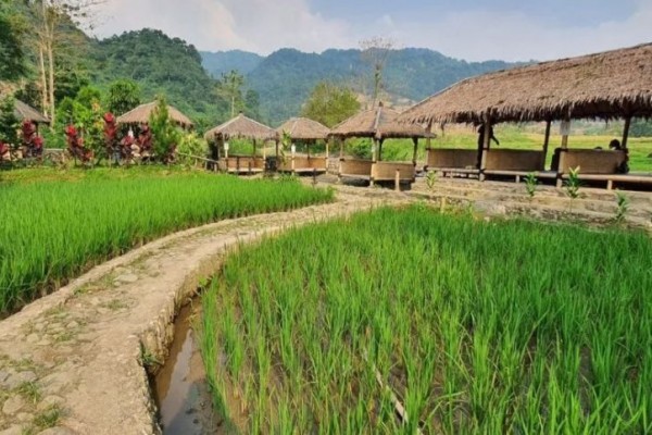 Wisata Leuwi Pangaduan Bogor: Info Lokasi, Aktivitas, dan Tips
