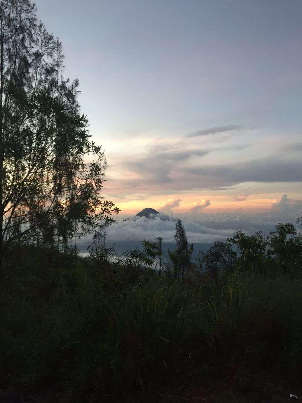 Pendakian Gunung Arjuno-Welirang Ditutup