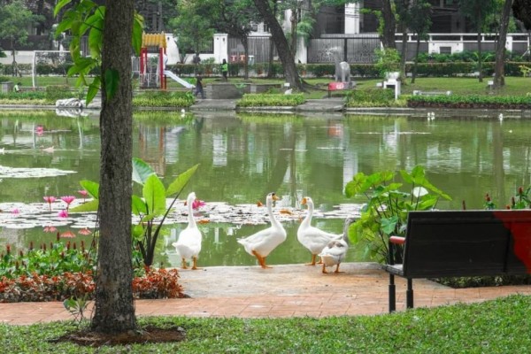 Taman Situ Lembang Jakarta: Informasi Lokasi dan Tips Berkunjung