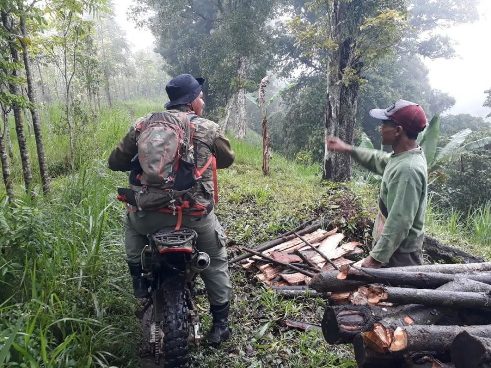 Nasib Hutanku Sayang, Hutanku yang Malang