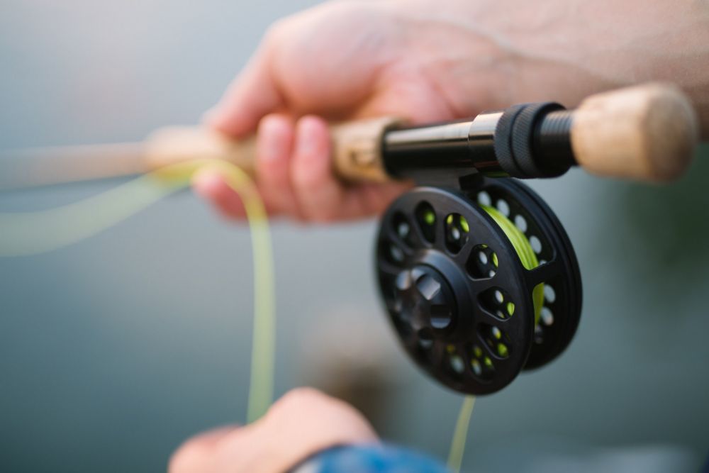 Tips Memilih Reel Spinning Yang Bagus Untuk Pemula - Belanja Pancing -  Menyediakan kebutuhan dalam memancing