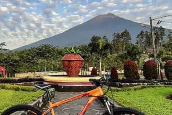 Rekomendasi Tempat Wisata di Purbalingga Populer