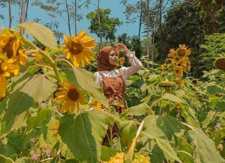 6 Taman Bunga di Tulungagung, Referensi Hunting Foto Menarik!