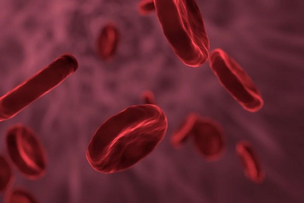 5 Nutrisi yang Dibutuhkan Tubuh untuk Produksi Sel Darah Merah