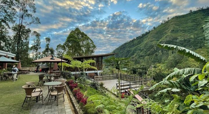8 Rekomendasi Kafe Dekat Gunung Bromo, Tawarkan View Alam Mempesona