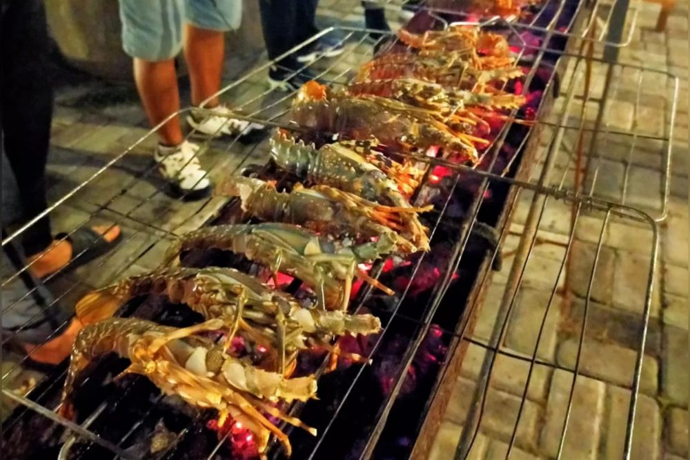 Permintaan Meroket, Pembudidaya Lobster Banyuwangi Kewalahan