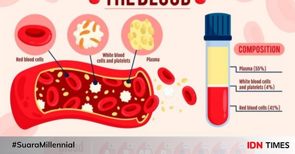 5 Fungsi Vital Plasma Darah Salah Satunya Melawan Infeksi