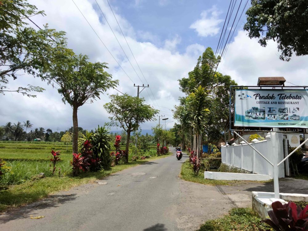 Menginap di Desa Wisata Tetebatu, Suasana Asri dan Nyaman