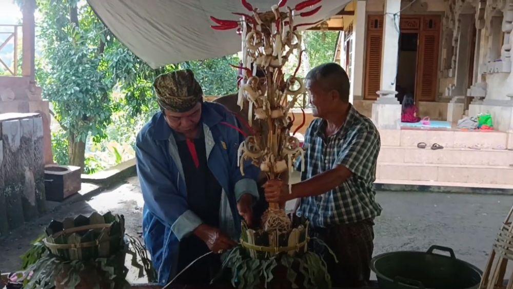 Makna Tradisi Mejrimpen Galungan, Khas Desa Pedawa Buleleng