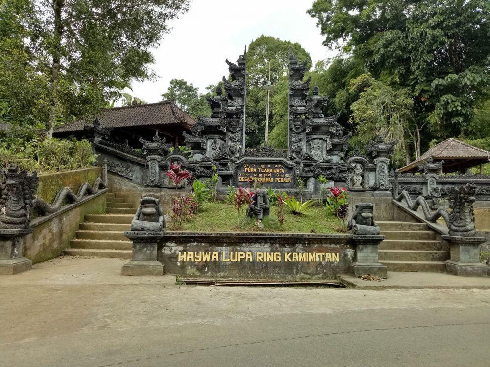 Makna Tradisi Mejrimpen Galungan, Khas Desa Pedawa Buleleng